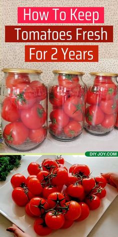 How To Bottle Tomatoes, Storing Tomatoes For Winter, How To Make Tomatoes Last Longer, How To Store Tomatoes From Garden, Best Tomatoes For Canning, How To Preserve Tomatoes Without Canning, How To Keep Tomatoes Fresh Longer, How To Store Tomatoes In The Fridge, Save Tomatoes