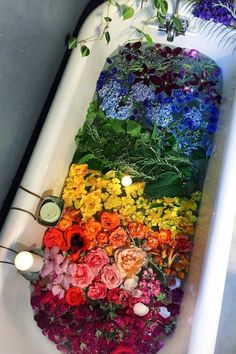 a bathtub filled with lots of different colored flowers