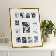 a white and gold frame with photos on it sitting next to a potted plant