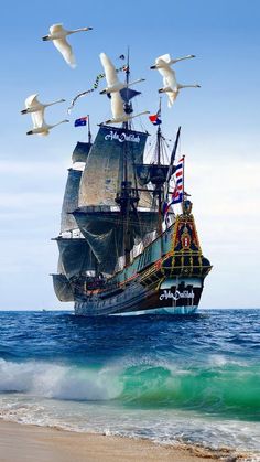 a large ship sailing through the ocean with seagulls flying around it and on top of it