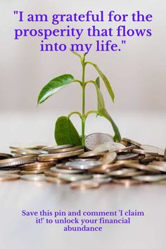 a pile of coins sitting next to a plant on top of each other with the words, i am grateful for the prosperity that flows into my life