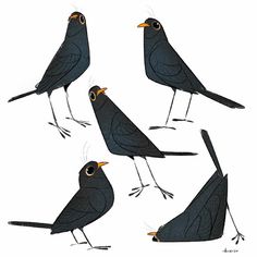 four black birds with orange beaks are shown