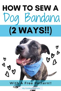 how to sew a dog bandana 2 ways with a free pattern by golden thimble