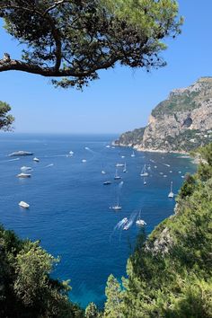 many boats are sailing in the blue water near some trees and mountains on a sunny day