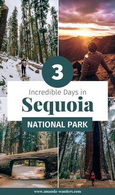 the three incredible days in sequia national park