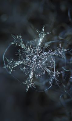 a snowflake is shown in the dark