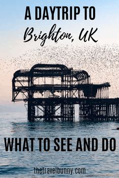 a bird flying over the ocean next to a pier with text that reads, a day trip