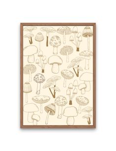 an illustration of many different mushrooms on a white background, framed in brown wood frame