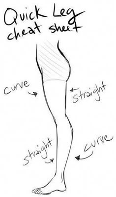 a drawing of a person's legs with the words quick leg chart above it