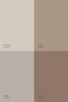 the different shades of brown and beige are shown in this color palette, which is neutral