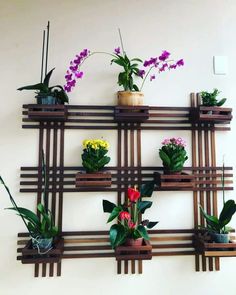 a wall mounted shelf with potted plants and flowers on it's sides,