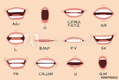 the different types of mouth shapes