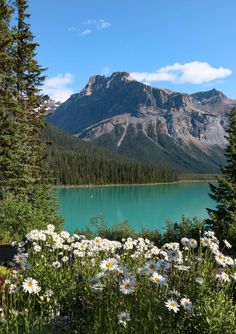 Lac Émeraude, Parc National Yoho, Rocheuses canadiennes, Canada / Emerald Lake, Yoho National Park, Canadian Rockies, Canada Canadian Rockies Aesthetic, Canada In Summer, Canadian Aesthetic, Canada Vibes, Canadian National Parks, Rockies Canada, Yoho National Park Canada, Lake Aesthetics