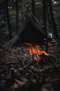 a campfire burning in the woods near a tent