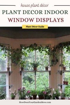 houseplants, plant decor, houseplant decor, succulent decor, indoor plants, indoor plant decor Hanging Plants Indoor In Front Of Window, Plants As Window Treatments, Bay Window Hanging Plants, Plant Display Indoor Window, Indoor Window Planter Ideas, Plant Curtain Window, Plant Window Ideas