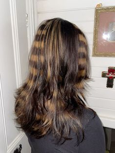 #raccoonhair #stripeyhair #butterflycut #y2k #racoonstripes #hair #dye Funky Hair Dye Ideas, Racoon Highlights, Brown Hair With Black Highlights, Pigeon Hair, Funky Highlights, Hair Dye Colours, Hair Stripes, Skunk Hair, Y2k Hair