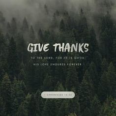 the words give thanks to the lord, for he is good