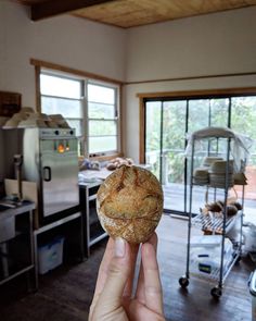 a person holding a piece of bread in their hand