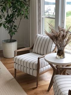 a living room filled with furniture and a potted plant on top of a table