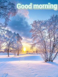 the cover of good morning magazine with trees covered in snow and sun setting behind them