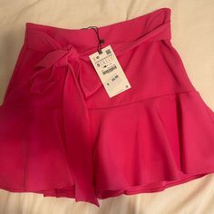 Brand New Never Worn Zara Pink Mini Skirt (Shorts Under) Elegant Zara Shorts For Spring, Short Skirt For Spring, Spring Short Pleated Skirt, Pink Skirt Shorts For A Day Out, Solid Skort For Spring And Summer, Elegant Pink Bottoms For Vacation, Zara Spring Shorts With Short Inseam, Zara Mini Skort For Spring, Zara Shorts With Short Inseam For Spring