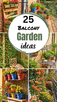 A collage of colorful balcony garden ideas featuring vibrant flower pots and lush greenery. The image includes comfortable seating, decorative railings, and a cozy atmosphere. Perfect for gardening enthusiasts looking for inspiration for small spaces.