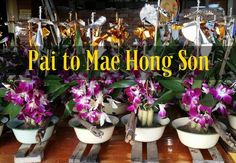 purple flowers are in white bowls on wooden pallets with the words pat to mae hong son above them