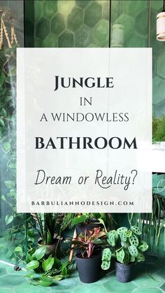 jungle in a windowless bathroom with green plants on the counter and text overlay that reads, jungle in a windowless bathroom dream or reality?