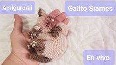 a hand holding a small stuffed animal in it's right hand and the words gattoo siames written above it