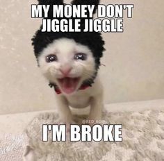 a cat wearing a hat with the caption, my money don't jiggle juggle i'm broke