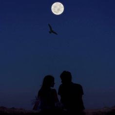 two people sitting in the sand under a full moon with a bird flying over them