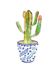 a watercolor painting of a cactus in a blue and white pot