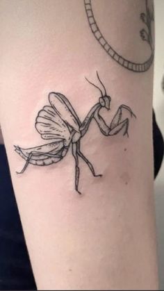 a small insect tattoo on the arm, with a circular object in the back ground