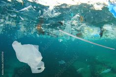 a plastic bag floating in the ocean next to a large amount of trash and other garbage