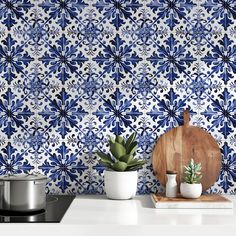 a blue and white tiled wall next to a potted succulent on a counter