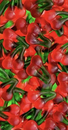 red peppers with green stems and leaves in the foreground, as if they were floating or floating on water