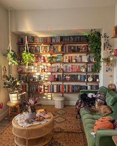 a living room filled with lots of furniture and bookshelves full of books on the wall