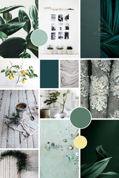 a collage of green and white images with different plants, leaves, and other things