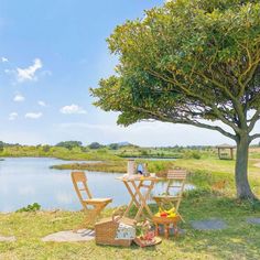 there is a picnic table and chairs by the water in front of a large tree