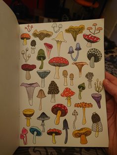 someone is holding up a book with many different mushrooms on it and the pages are open