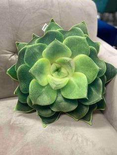 a large green plant sitting on top of a white couch