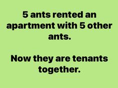 the text reads, 5 ants rented an apartment with 5 other ants now they are tenants together