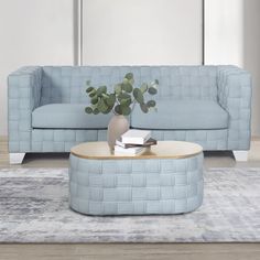 a living room with a blue couch and coffee table