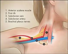 Medical School Essentials, Medical Studies, Hand Therapy