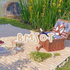 a picnic blanket with food on it and the words bmsot in front of it