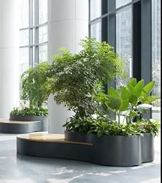 three planters with plants in them are on the floor next to large windows at an office building