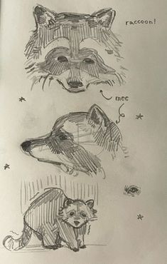 three drawings of different types of animals