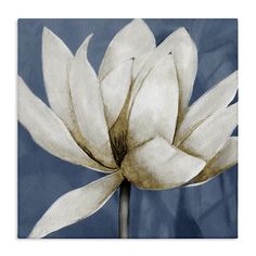 a white flower on a blue background