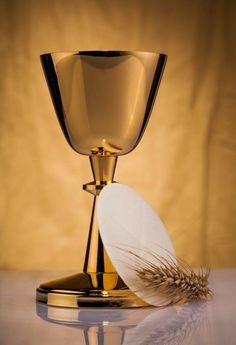 a golden chalice with a feather resting on it