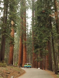 a van driving down a road surrounded by tall trees